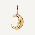 Earrings Luna Gold