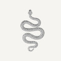 Pendientes Snake Silver