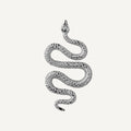 Earrings Snake Silver